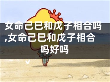 女命己巳和戊子相合吗,女命己巳和戊子相合吗好吗