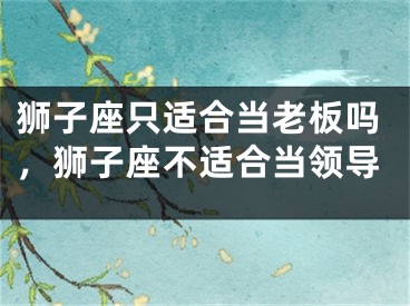 狮子座只适合当老板吗,狮子座不适合当领导
