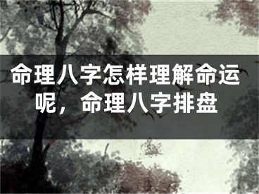 命理八字怎样理解命运呢,命理八字排盘