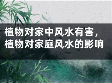 植物对家中风水有害，植物对家庭风水的影响