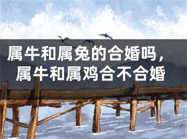 属牛和属兔的合婚吗，属牛和属鸡合不合婚