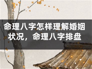 命理八字怎样理解婚姻状况，命理八字排盘