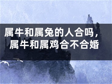 属牛和属兔的人合吗，属牛和属鸡合不合婚