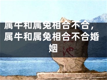 属牛和属兔相合不合，属牛和属兔相合不合婚姻