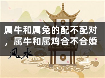 属牛和属兔的配不配对，属牛和属鸡合不合婚