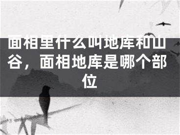 面相里什么叫地库和山谷,面相地库是哪个部位