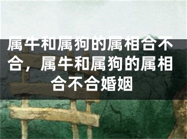 属牛和属狗的属相合不合，属牛和属狗的属相合不合婚姻