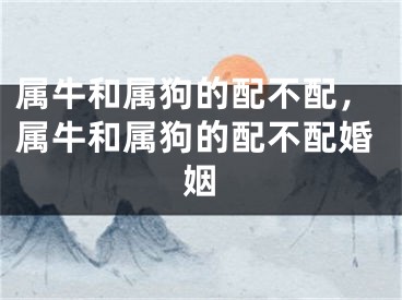 属牛和属狗的配不配，属牛和属狗的配不配婚姻