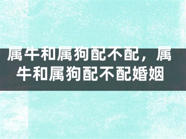 属牛和属狗配不配，属牛和属狗配不配婚姻