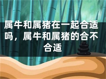 属牛和属猪在一起合适吗，属牛和属猪的合不合适