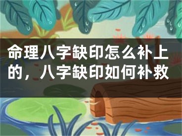 命理八字缺印怎么补上的，八字缺印如何补救