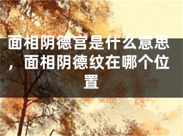 面相阴德宫是什么意思，面相阴德纹在哪个位置