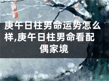 庚午日柱男命运势怎么样,庚午日柱男命看配偶家境
