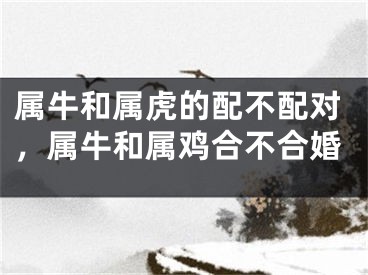 属牛和属虎的配不配对，属牛和属鸡合不合婚