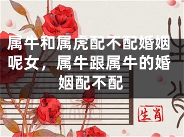 属牛和属虎配不配婚姻呢女，属牛跟属牛的婚姻配不配