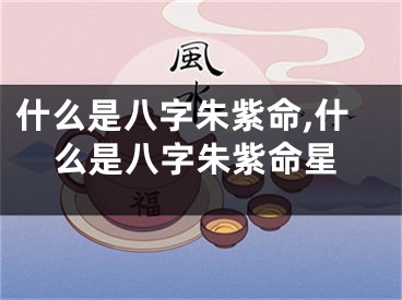 什么是八字朱紫命,什么是八字朱紫命星