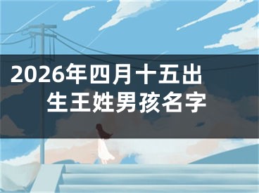 2026年四月十五出生王姓男孩名字