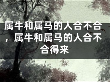 属牛和属马的人合不合，属牛和属马的人合不合得来
