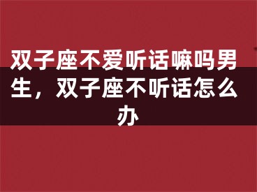 双子座不爱听话嘛吗男生，双子座不听话怎么办