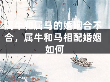 属牛和属马的婚姻合不合，属牛和马相配婚姻如何