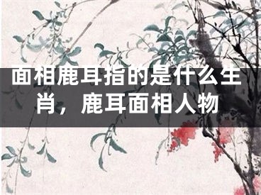 面相鹿耳指的是什么生肖，鹿耳面相人物