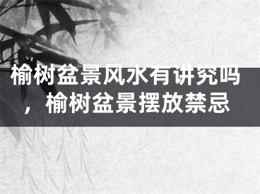 榆树盆景风水有讲究吗，榆树盆景摆放禁忌