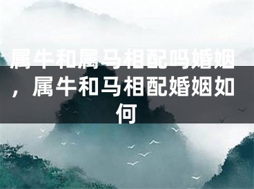 属牛和属马相配吗婚姻，属牛和马相配婚姻如何