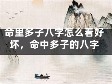 命里多子八字怎么看好坏，命中多子的八字