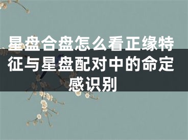 星盘合盘怎么看正缘特征与星盘配对中的命定感识别