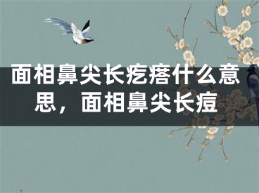 面相鼻尖长疙瘩什么意思，面相鼻尖长痘