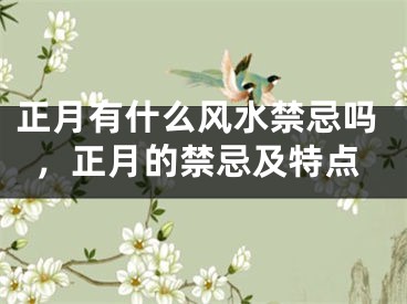 正月有什么风水禁忌吗，正月的禁忌及特点