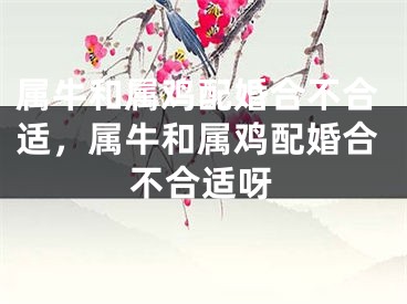 属牛和属鸡配婚合不合适，属牛和属鸡配婚合不合适呀