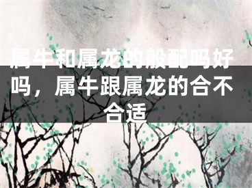 属牛和属龙的般配吗好吗,属牛跟属龙的合不合适