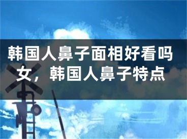 韩国人鼻子面相好看吗女，韩国人鼻子特点