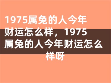 1975属兔的人今年财运怎么样，1975属兔的人今年财运怎么样呀