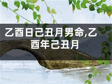 乙酉日己丑月男命,乙酉年己丑月