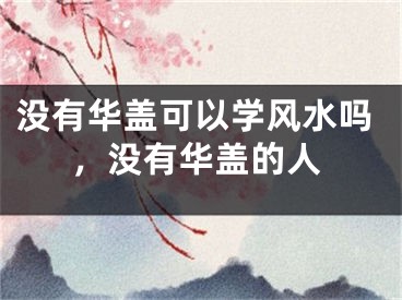 没有华盖可以学风水吗，没有华盖的人