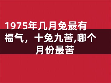 1975年几月兔最有福气，十兔九苦,哪个月份最苦