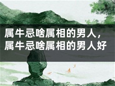 属牛忌啥属相的男人,属牛忌啥属相的男人好