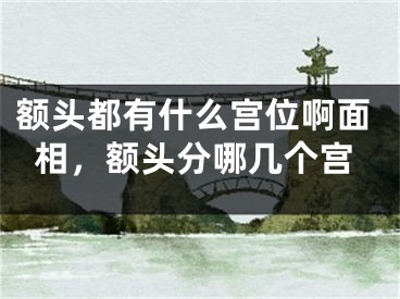 额头都有什么宫位啊面相，额头分哪几个宫