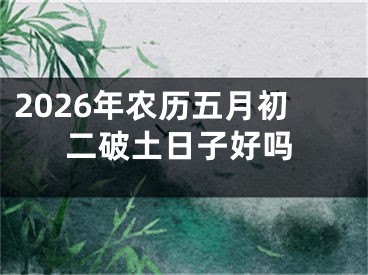 2026年农历五月初二破土日子好吗