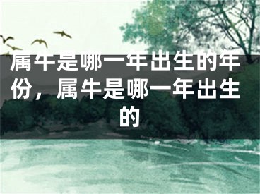 属牛是哪一年出生的年份，属牛是哪一年出生的