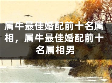 属牛最佳婚配前十名属相,属牛最佳婚配前十名属相男