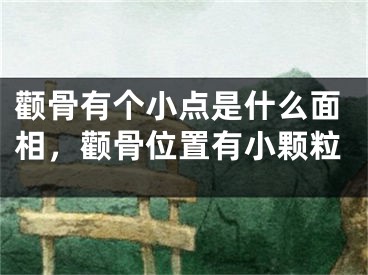 颧骨有个小点是什么面相,颧骨位置有小颗粒