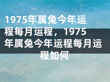 1975年属兔今年运程每月运程，1975年属兔今年运程每月运程如何