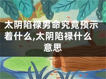 太阴陷禄男命究竟预示着什么,太阴陷禄什么意思