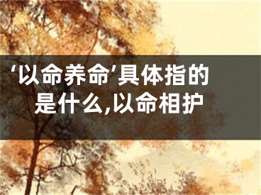 ‘以命养命’具体指的是什么,以命相护