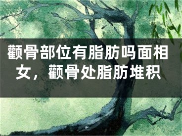 颧骨部位有脂肪吗面相女,颧骨处脂肪堆积