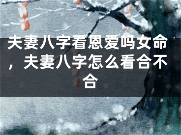 夫妻八字看恩爱吗女命，夫妻八字怎么看合不合