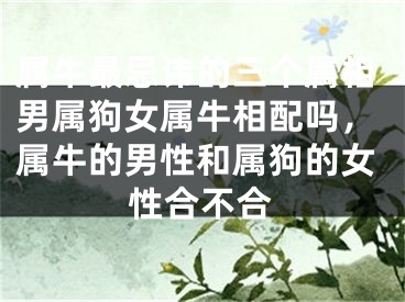 属牛最忌讳的三个属相男属狗女属牛相配吗，属牛的男性和属狗的女性合不合